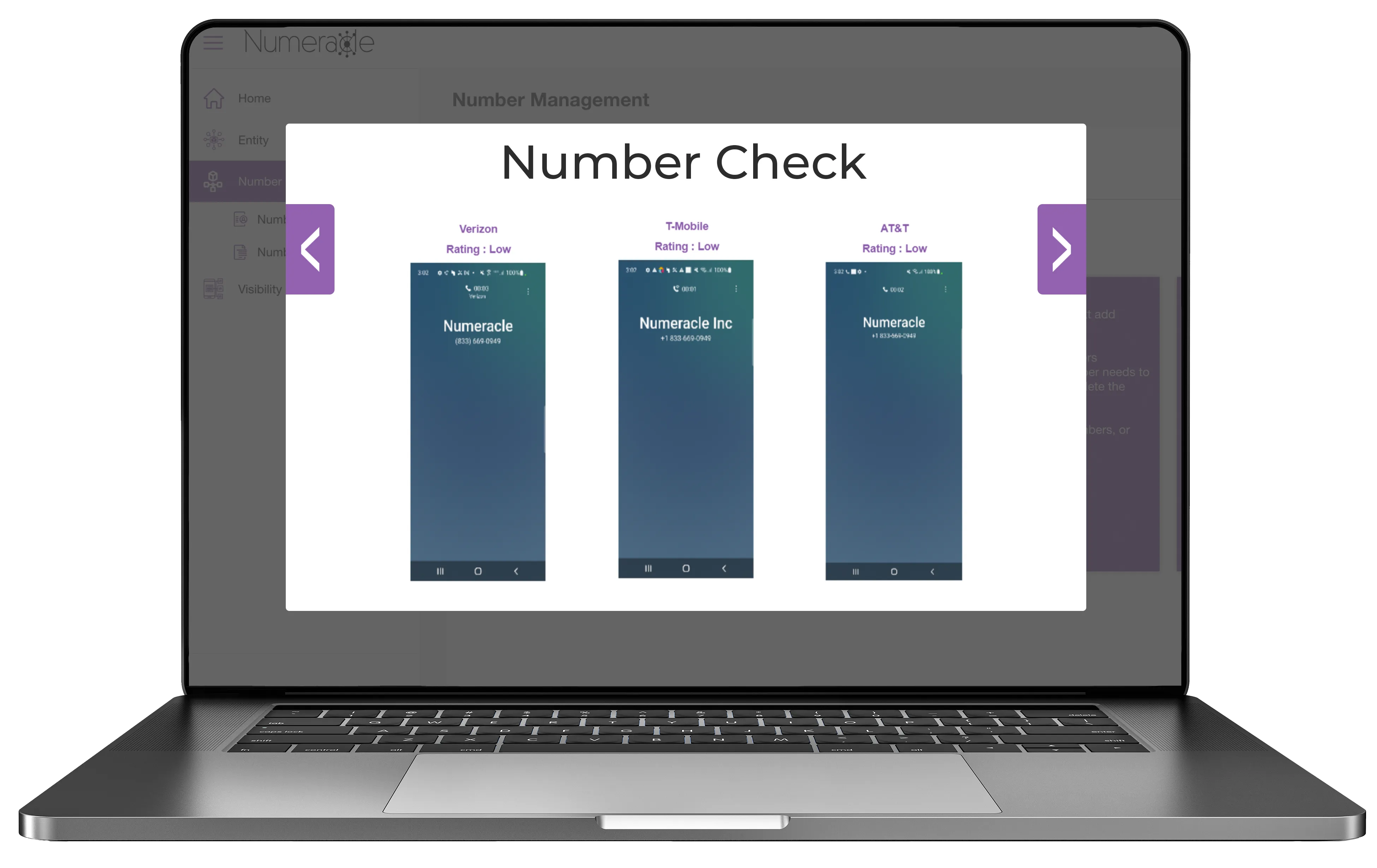 Number Check Portal Mockup